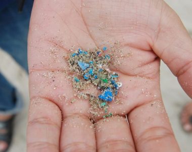Jesmo Li Bliže Pronalaženju Mikroplastike U Ljudskom Organizmu?