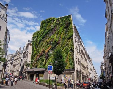 The Building Of The Paris City Administration Got A Green Facade
