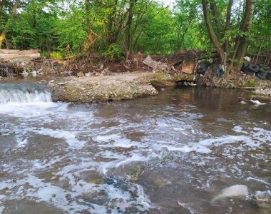 Jedna Krvava Eko-horor Priča: Kasaba, Kasapin I 10.000 Zombija