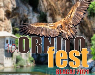 10. Ornitofestival – Stručnjaci Regije Se Okupljaju U Blagaju Da Pričaju O Zaštiti Ptica