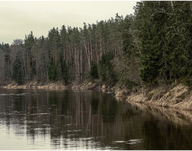 The World Has Entered A Dangerous Phase: As Much As 70 Percent Of Freshwater Supplies Are In Crisis, And Some Cities Have Experienced “Day Zero.”