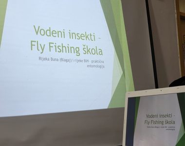 First Fly Fishing School Session: An Introduction To Entomology And Aquatic Insects