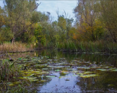 Today We Mark World Wetlands Day — Do You Know How Many Wetlands There Are In Bosnia And Herzegovina?